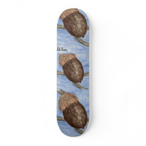 Acorn Sketch Skateboard