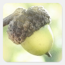 Acorn Stickers