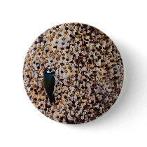 Acorn Woodpecker Buttons