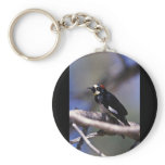 Acorn Woodpecker Key Chains