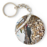 Acorn Woodpecker Keychains
