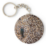 Acorn Woodpecker Keychains