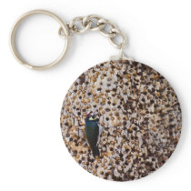 Acorn Woodpecker Keychains