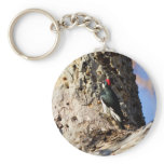 Acorn Woodpecker Keychain