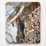Acorn Woodpecker Mouse Pad