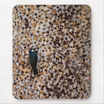 Acorn Woodpecker Mousepad