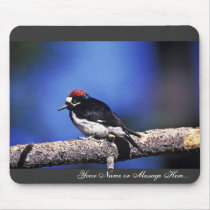 Acorn Woodpecker Mousepad