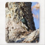 Acorn Woodpecker Mousepads