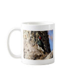 Acorn Woodpecker Coffee Mug