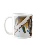 Acorn Woodpecker Mug