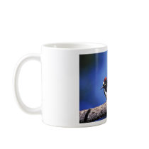 Acorn Woodpecker Coffee Mug