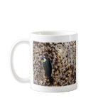 Acorn Woodpecker Coffee Mug