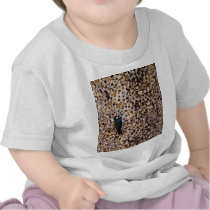 Acorn Woodpecker Tees