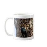 Acorn Woodpeckers Mugs