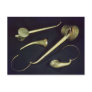Acoustic instruments cornets post card