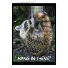 Acrobatic Racoon, Greeting Cards