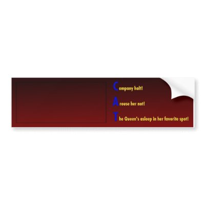 Acrostic Poem - C.A.T. - Customise  BumperSticker by joyceepoo