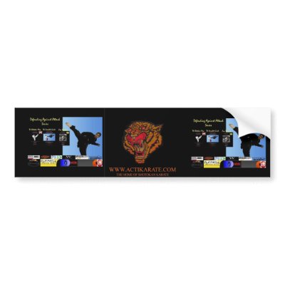 Actikarate Series Bumper Stickers by actikarate
