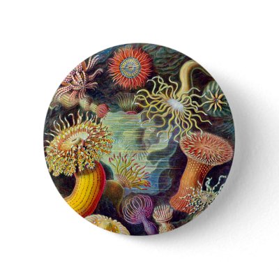 Actiniae illustration painting Germa Ernst Haeckel by VintageArtPosters