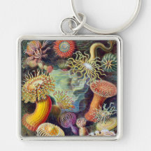 Actiniae illustration painting Germa Ernst Haeckel Keychain