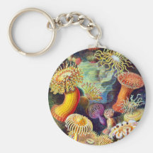 Actiniae (Sea Anemones), Ernst Haeckel Keychains