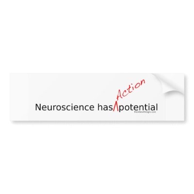 Action Potential Bumper Sticker by brainbowdesigns