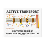 Active Transport Don't Think Of Osmolytic Balance