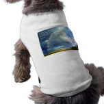 Acts 20:35  Rainbow pet clothing