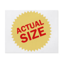 Actual Size Personalized Flyer