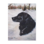 Actune Dog Portrait Postcard