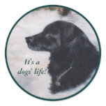 Actune Dog Portrait Sticker