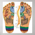 Acupressure Points Pressure Chart for the Feet posters