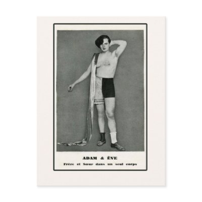 Adam & Eve Half Man Half Woman Postcard by CustomizeACard
