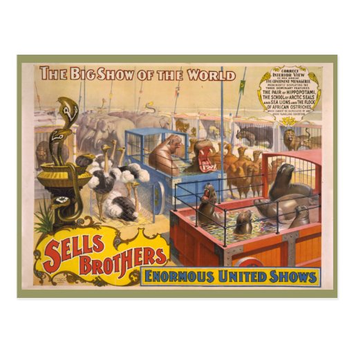  - adam_forepaugh_and_sells_brothers_circus_poster_postcard-r97d5123c04274693a8cc259c9dcb8562_vgbaq_8byvr_512