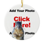 Add A Squirrel Custom Holiday Christmas Ornament