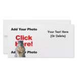 Add A Squirrel Custom Photo Card photo cards