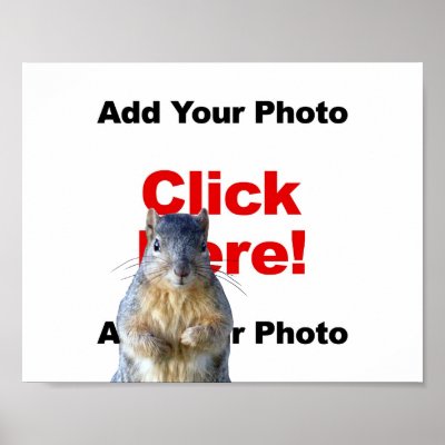 Add A Squirrel Custom Photo Poster by MisterSquirrel