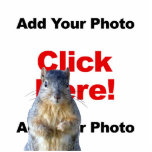 Add A Squirrel Custom Photo Sculpture photo sculptures