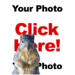 Add A Squirrel Custom Photo Scultpure photo sculptures
