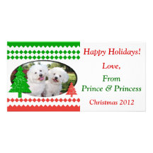 Add Your Own Photo Cute Holiday Card Custom Photo Card