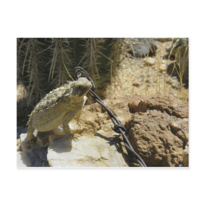 ADD YOUR OWN TEXT to Godzilla's Posed Position Postcards by Congress_Arizona
