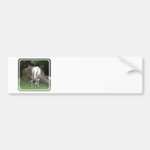 Addax  Bumper Stickers