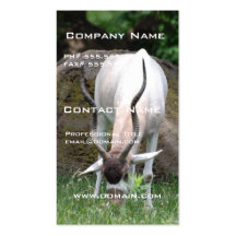 Addax Business Cards