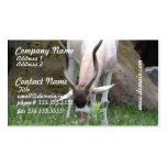 Addax Business Cards