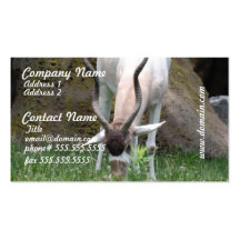Addax Business Cards