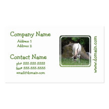 Addax Business Cards