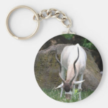 Addax  Keychain