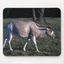 Addax Mouse Pad
