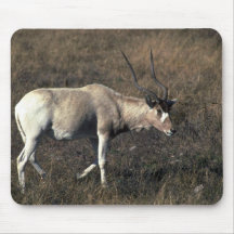 Addax Mouse Pads