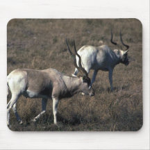 Addax Mousepad